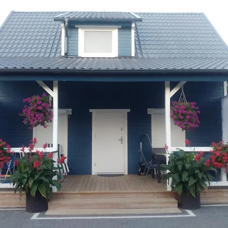 Orman Evi Niebieskie Sasino